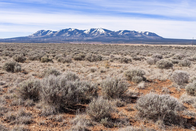 , Monticello UT 84535