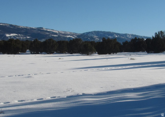 13800 N 6245 E, Spring City UT 84662