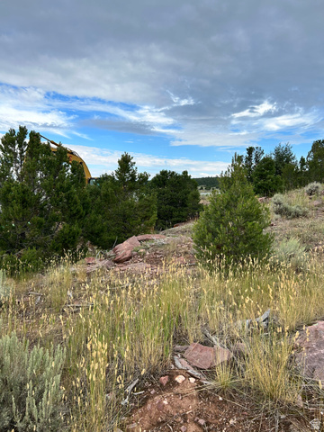 102  KESTREL CIR, Dutch John UT 84023