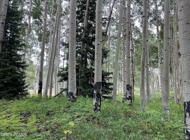 4410  FAWN WAY, Heber City UT 84032