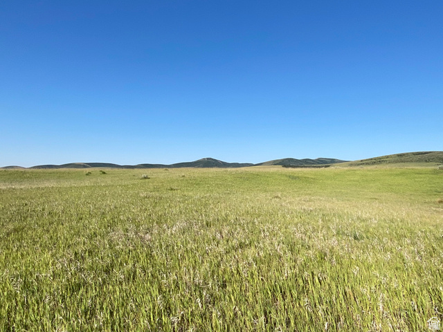 19300  NORTH DANIELS RD, Malad City ID 83252