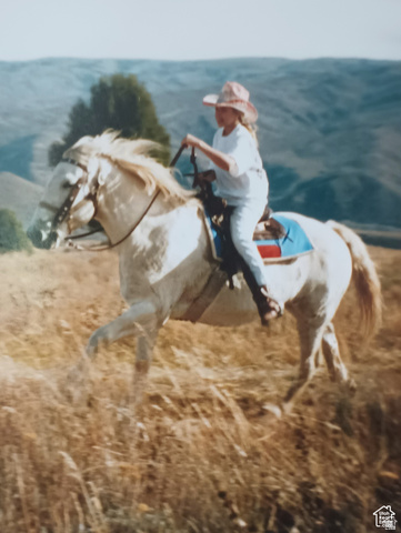 3388 N OAK CYN, Huntsville UT 84317