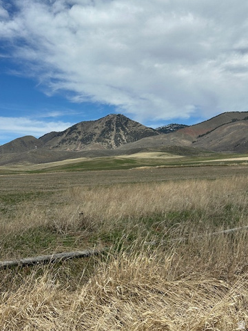 1 E JOE'S GAP RD, Montpelier ID 83254