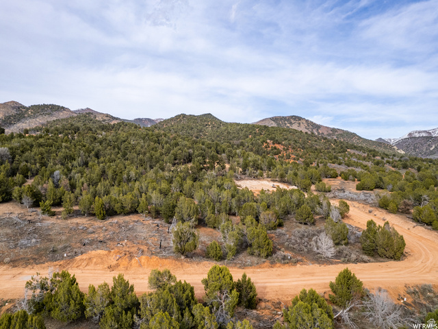 5011  COUGAR RUN, Birdseye UT 84629