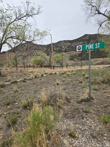 835  PINE ST, Sunnyside UT 84539