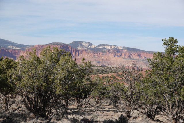 1115 E DONKEY FLATS RD, Teasdale UT 84773