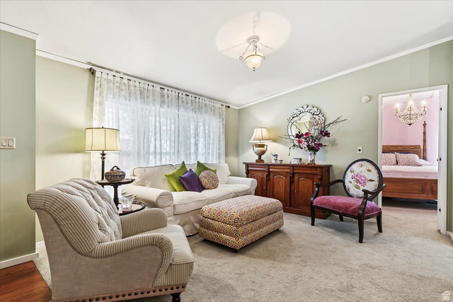 273 E Vagabond Dr
                     MLS #2147802