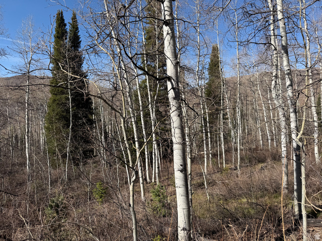 5209  WHITE PINE CIR, Oakley UT 84055