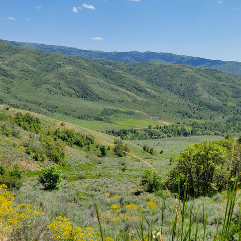 12737 E HIGH PINE CIR, Huntsville UT 84317