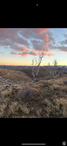 , Roosevelt UT 84066