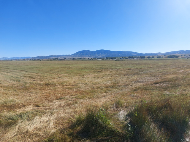 , Rush Valley UT 84069