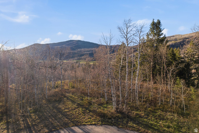 19 E UNCOMPAHGRE DR, Oakley UT 84055