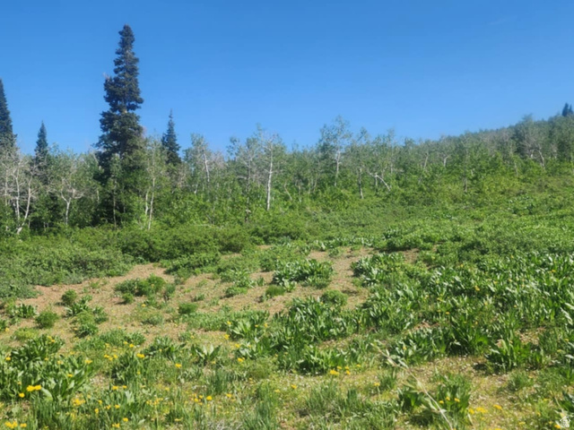 7434 N RENDEZVOUS RD, Huntsville UT 84317