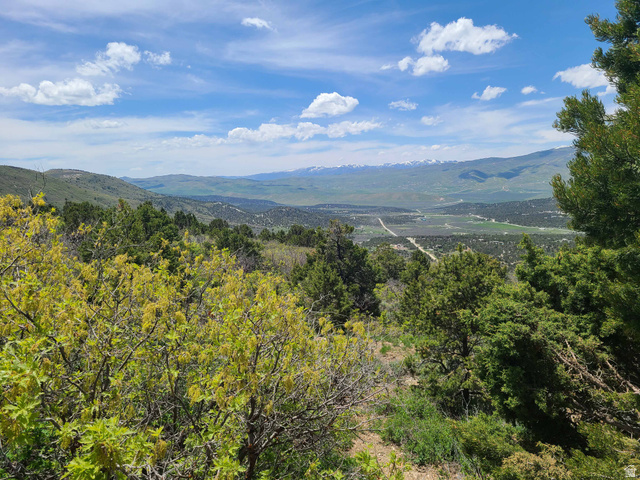 300 E SKY CREST DR, Indianola UT 84629
