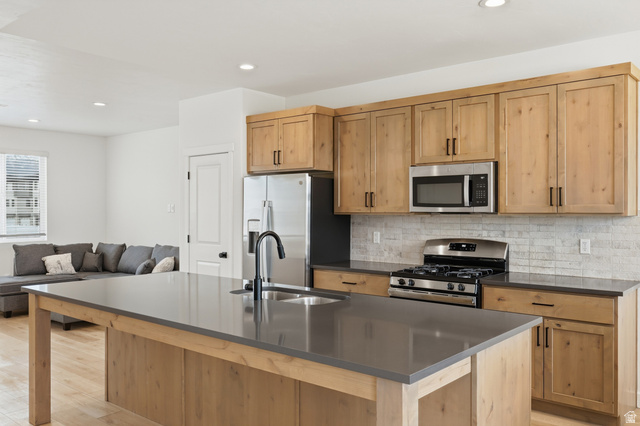 868 W 480 S
                     MLS #2149945