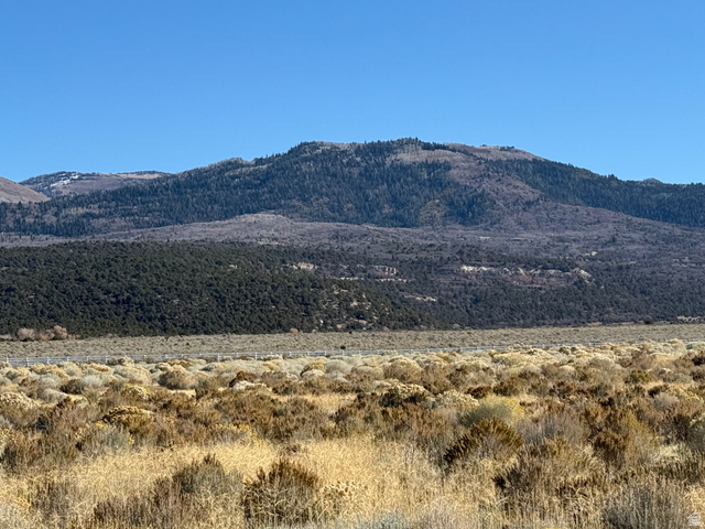 , Mt Pleasant UT 84647