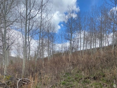 1117 W ARAPAHO DR, Coalville UT 84017