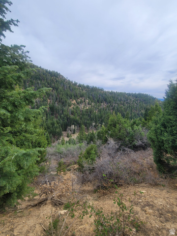 71 W SKY HVN, Duck Creek Village UT 84762