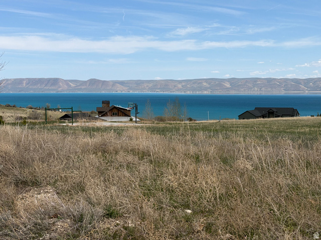 48  GRIZZLY RD, Fish Haven ID 83287