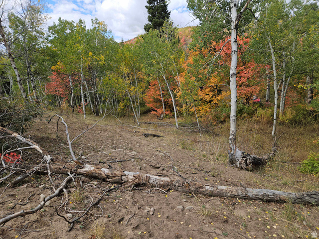 30 E DEER VALLEY DR, Fairview UT 84629