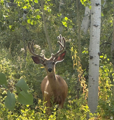 5762  ASPEN WAY, Huntsville UT 84317