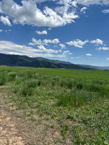 1  DIANE DR, Grace ID 83241