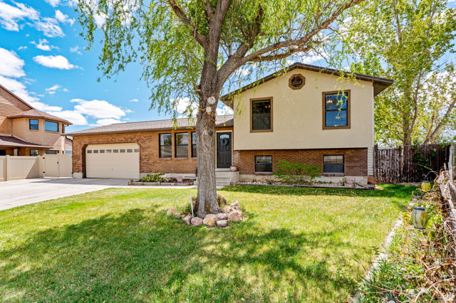 644 E TAMARIX, Delta UT 84624