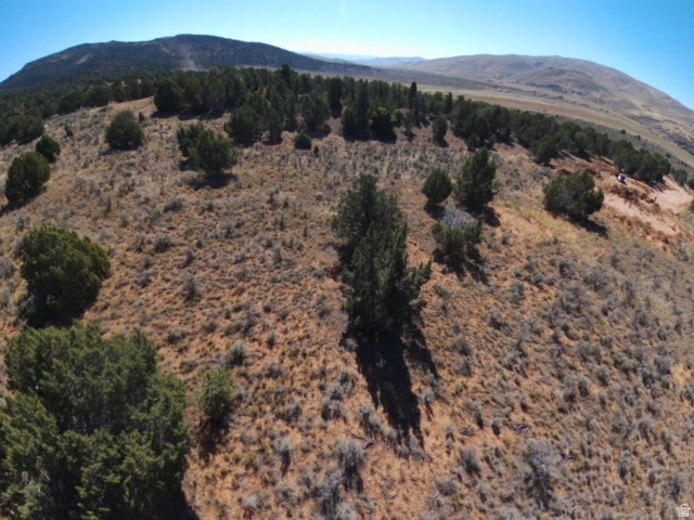 #37, Birdseye, UT 84629 — photo 9