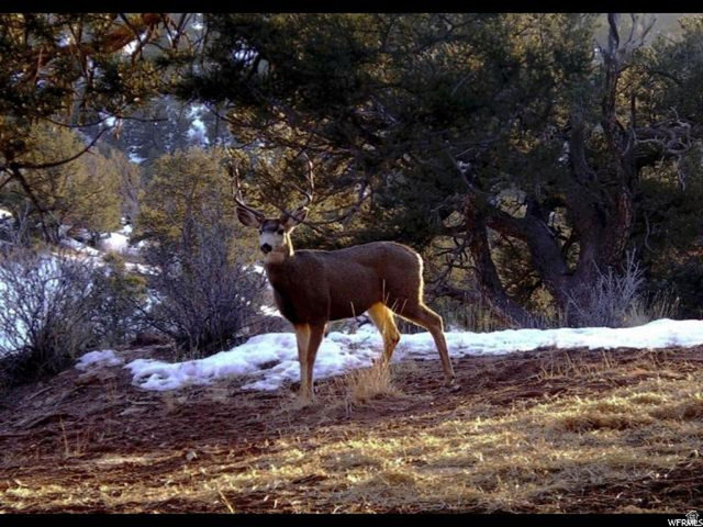 , Duchesne UT 84021