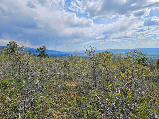 1246 E NORTH FORK RD, Fairview UT 84629