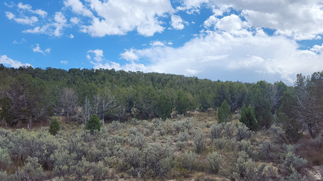 , Indianola UT 84629