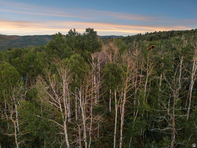 10749 E Green Briar Rd #550, Heber City, UT 84032 — photo 10