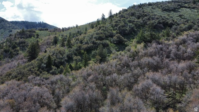 Grace, ID 83241 — photo 7