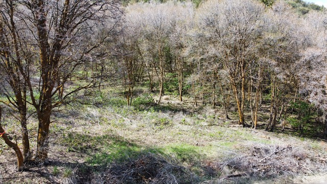 Grace, ID 83241 — photo 10