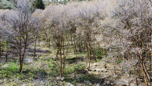 Grace, ID 83241 — photo 4