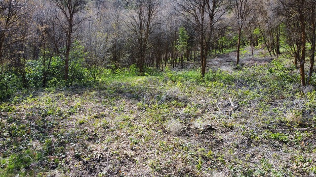 Grace, ID 83241 — photo 3