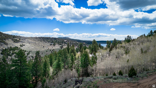 696 N IPSON CREEK CIR, Panguitch UT 84759