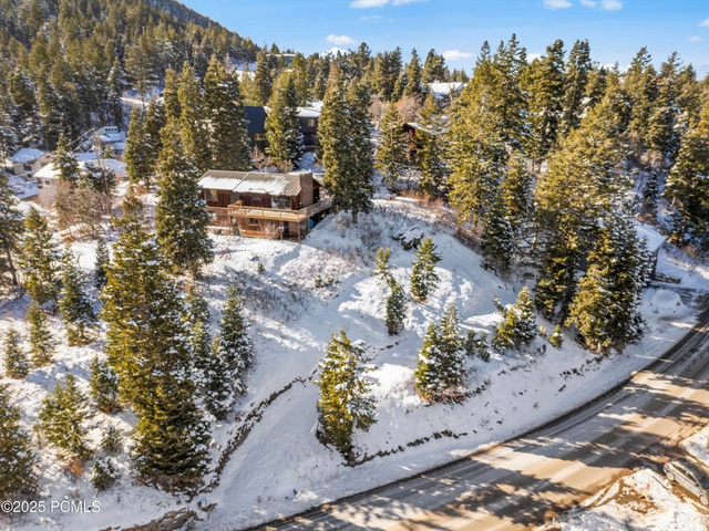 360 S PARKVIEW DR, Park City UT 84098