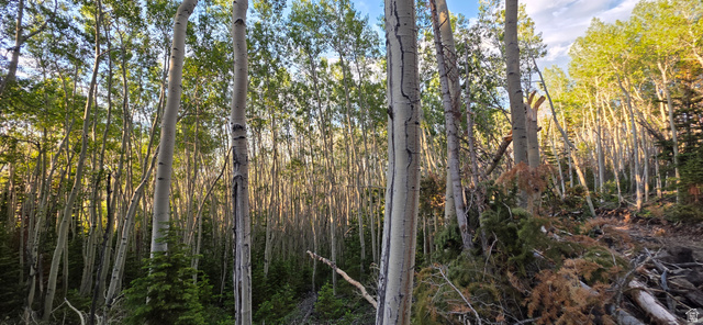 #28, Annabella, UT 84711 — photo 2