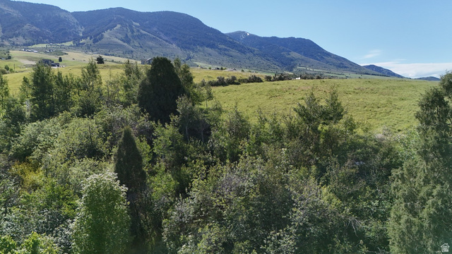 1398 Mogul Ln #1, Inkom, ID 83245 — photo 11