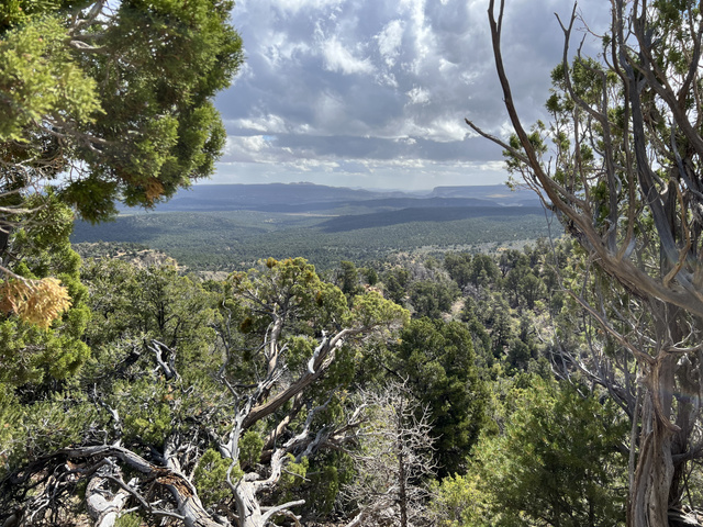 39 Upper Lick Rd #39, Kanab, UT 84741 — photo 4