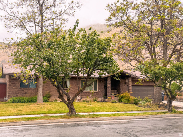 1539 E 450 S
                     MLS #2158827