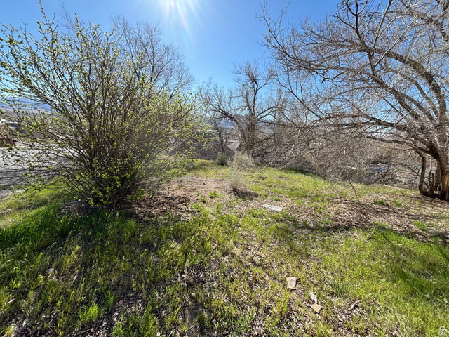 253 W 500 S, Milford, UT 84751, photo 3