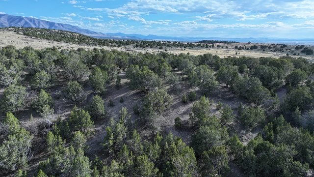 1530 E 1650 N, Fillmore, UT 84631, photo 12