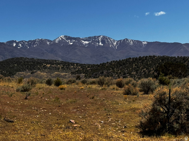 1530 E 1650 N, Fillmore, UT 84631, photo 4