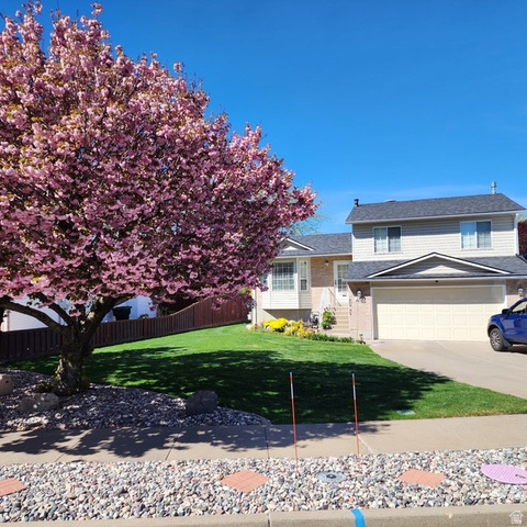 2251 N 850 W
                     MLS #2161900