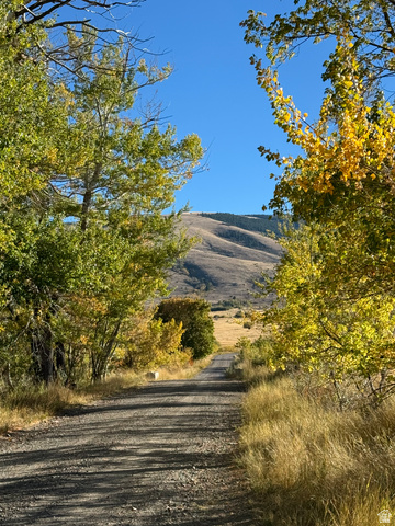 1200 S Lands Creek Rd E, Albion, ID 83311 — photo 7