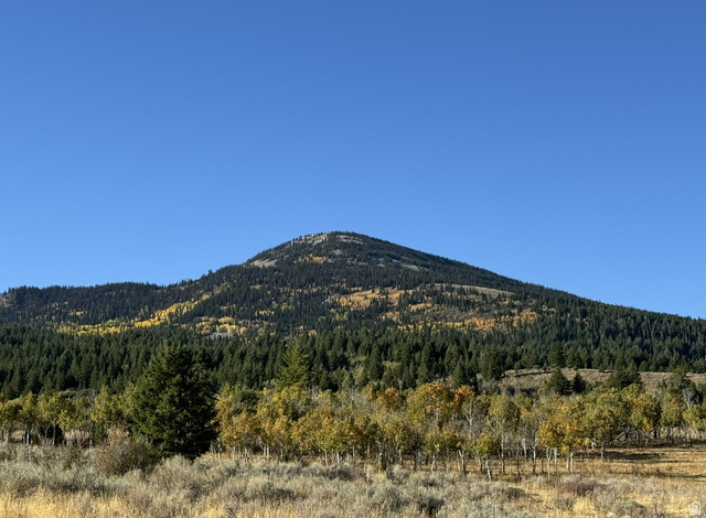 1200 S Lands Creek Rd E, Albion, ID 83311 — photo 6