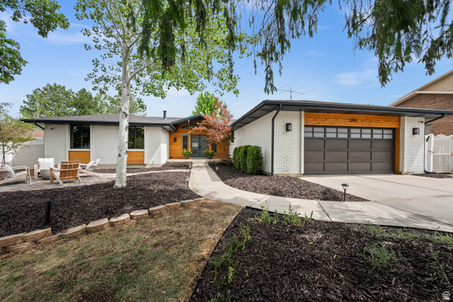 2241 E Somerset Dr
                     MLS #2164524