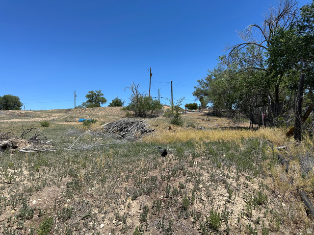 45 N 900 W, Cleveland, UT 84518 — photo 5